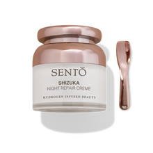 Load image into Gallery viewer, Shizuka  Night Repair Cream